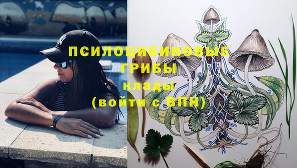 каннабис Богданович