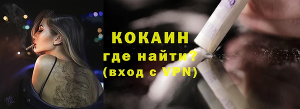 первитин Богородицк