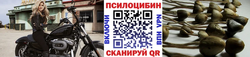 Псилоцибиновые грибы GOLDEN TEACHER  магазин продажи наркотиков  Топки 